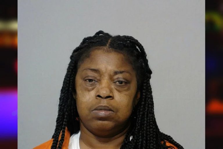 Lisa Hughes mugshot – Bibb County , Georgia Lisa Hughes