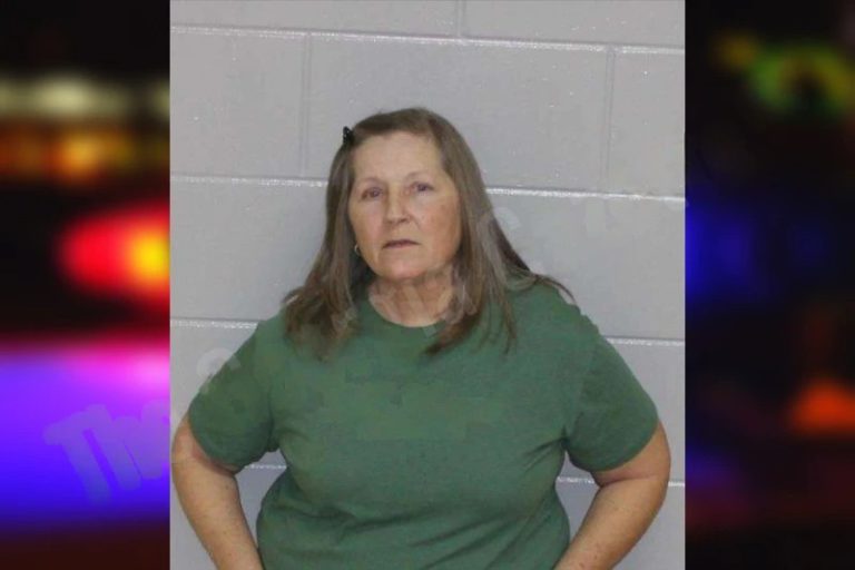 Lisa Johnson mugshot – Morgan County , Georgia Lisa Johnson