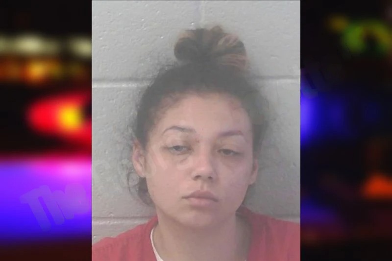 Lisa Maughon Mugshots