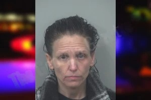 Lisa Strawn mugshot