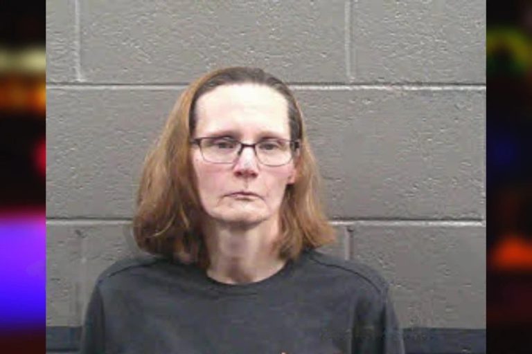 Lisa Williams mugshot – Banks County , Georgia Lisa Williams