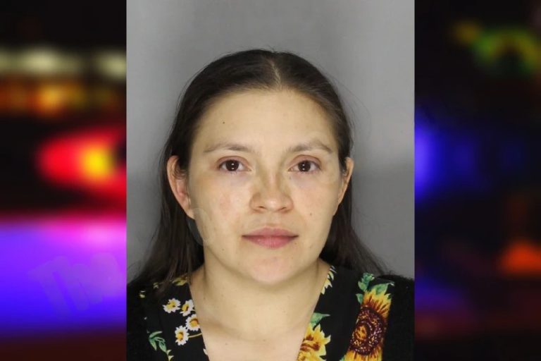 Liseth Flores mugshot – Cobb County , Georgia Liseth Flores