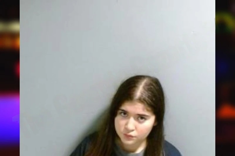 Lisette Mora mugshot – Fulton County , Georgia Lisette Mora mugshot