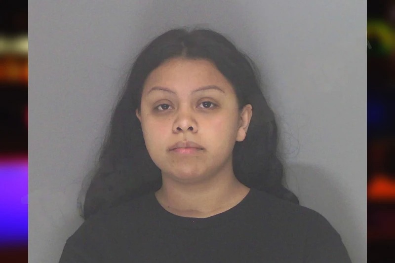 Litzy Servin Salgado mugshot