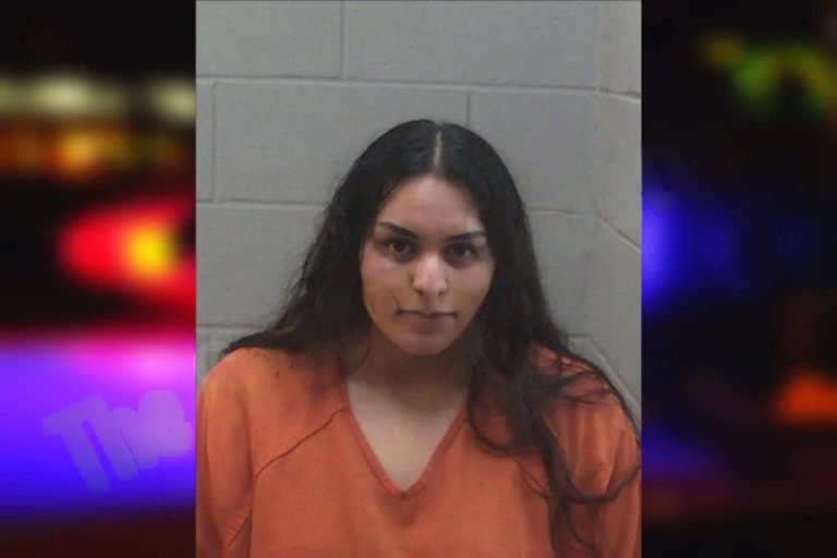 Lizbeth Negrete-Gamez