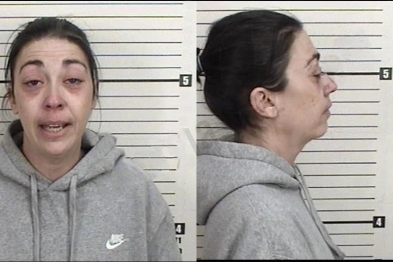 Lois Cushing mugshot
