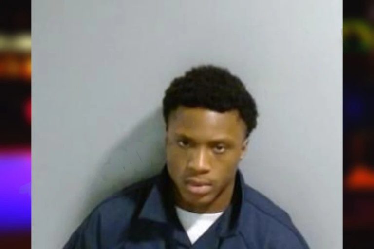 London Farley mugshot – Fulton County , Georgia London Farley