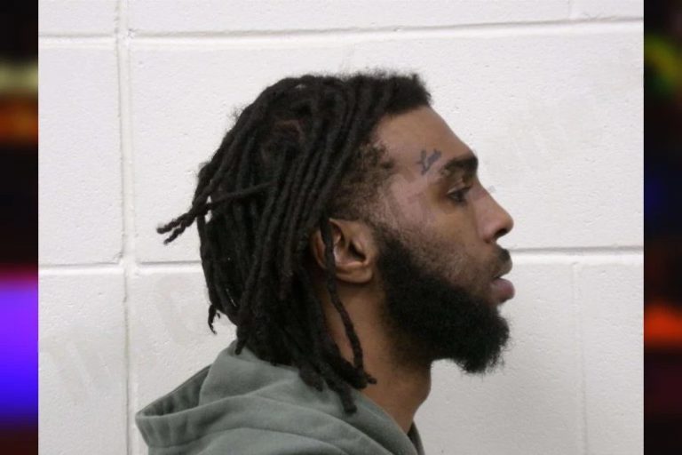 Lorenzo Brinson mugshot – Bulloch County , Georgia Lorenzo Brinson