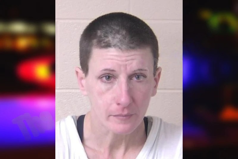 Lori Duke mugshot – Walker County , Georgia Lori Duke mugshot