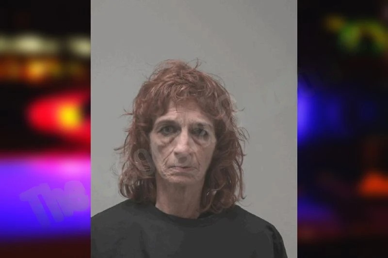 Lori Santorufo mugshot – Coweta County , Georgia Lori Santorufo mugshot