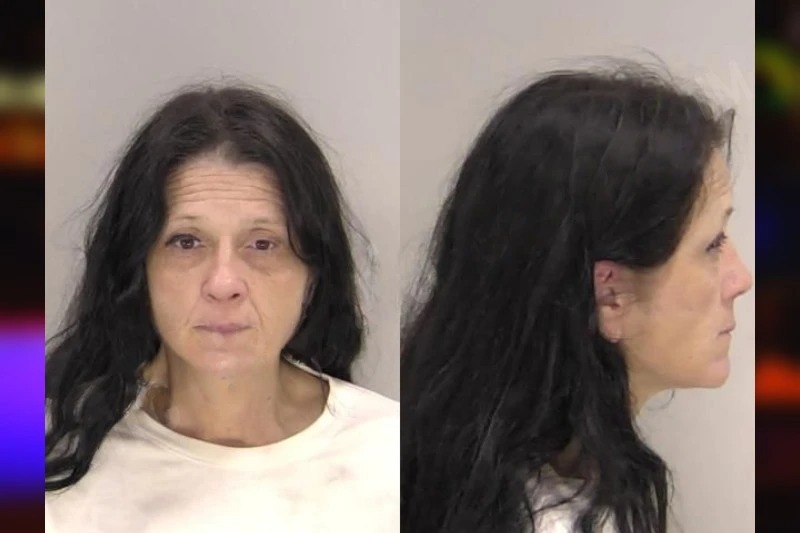 Lori Sey mugshot