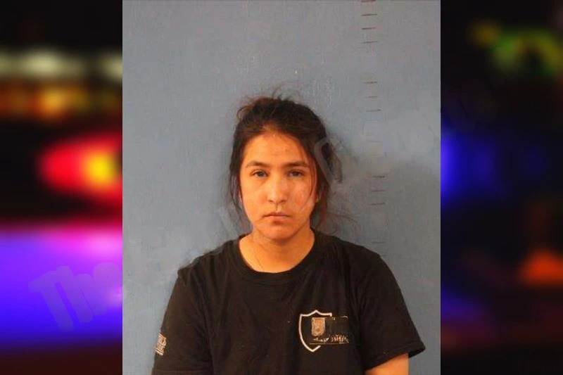 Lucia Salinas Mugshots