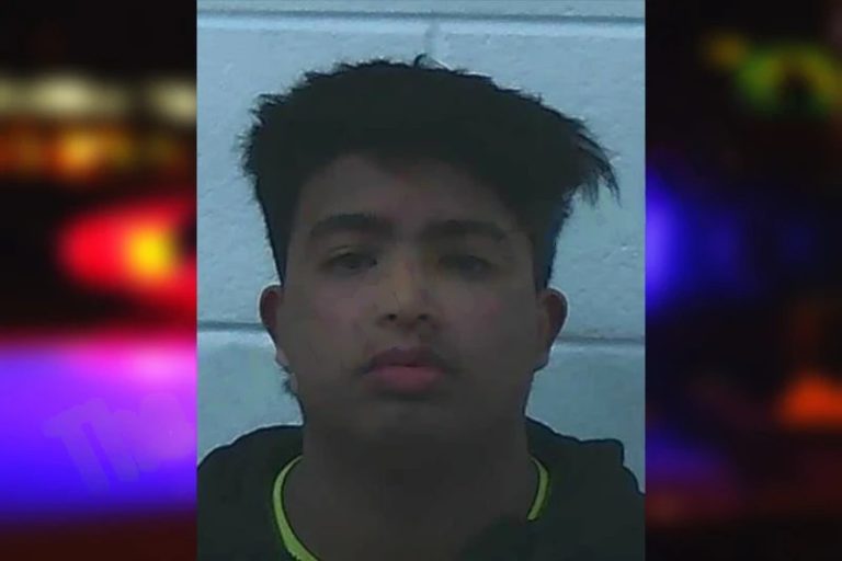 Luis Alandette Pullo