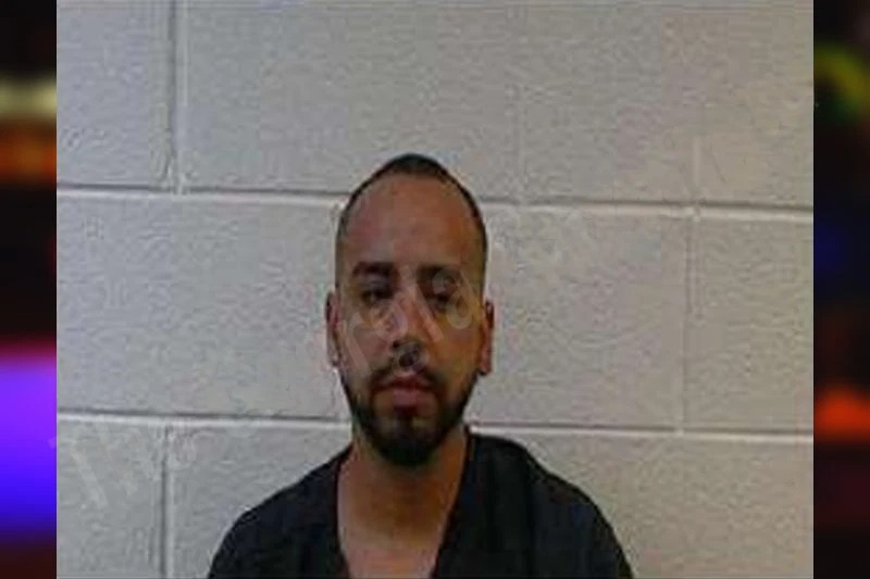 Luis Guzman Mugshots