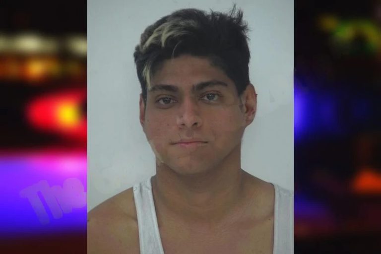 Luis Molina Bustillo mugshot – Fayette County , Georgia Luis Molina Bustillo