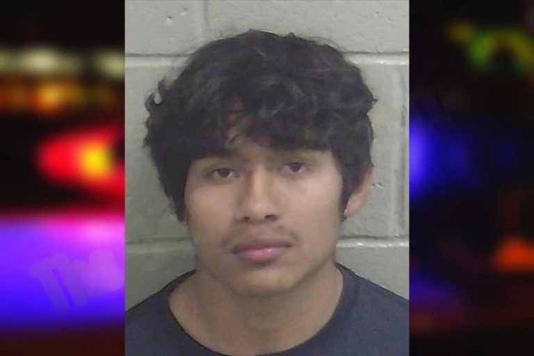 Luis Rojas mugshot β Wayne County , Georgia Luis Rojas