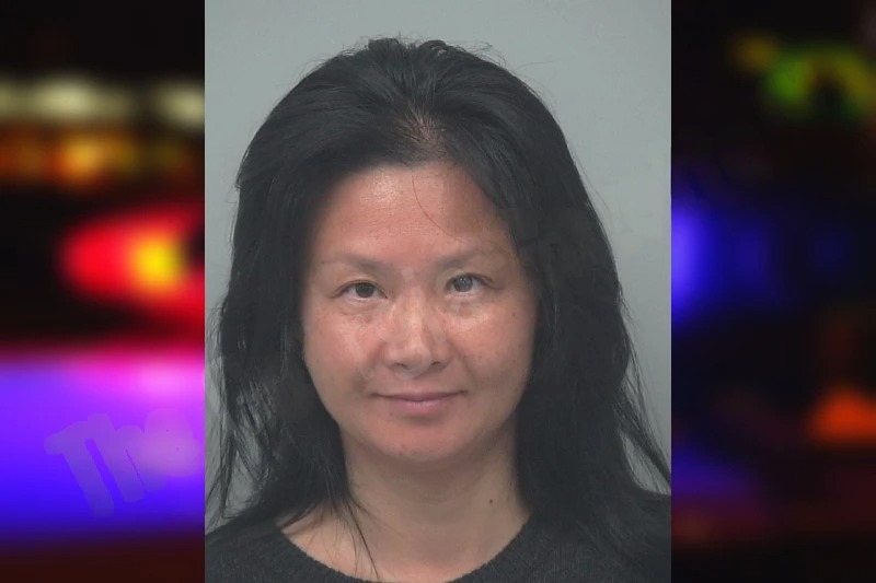 Luna Chen mugshot – Gwinnett County , Georgia Luna Chen mugshot