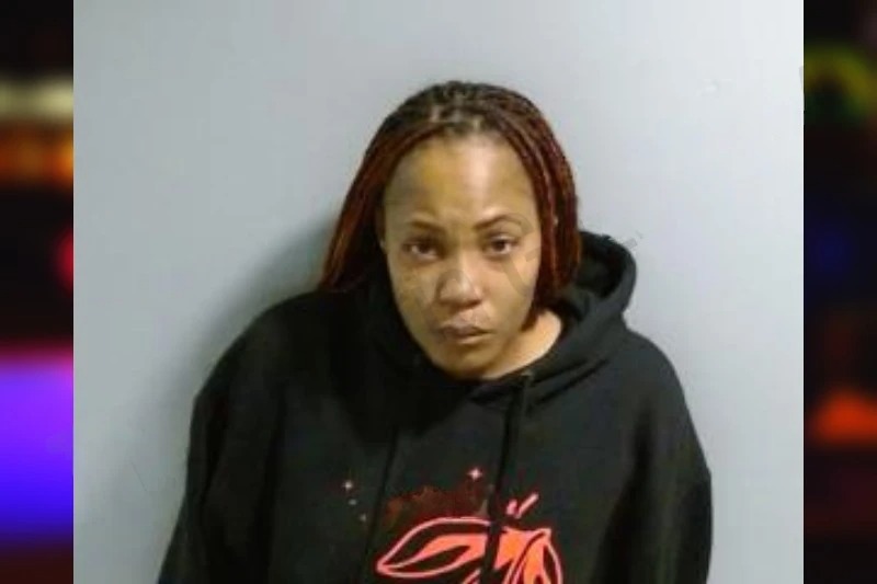 Lydia Alexander Mugshots