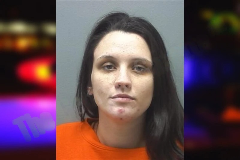 Madison Mann mugshot – Cherokee County , Georgia Madison Mann mugshot