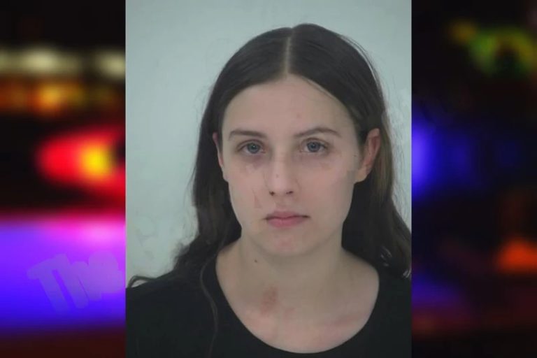 Madison McDonald mugshot – Fayette County , Georgia Madison McDonald