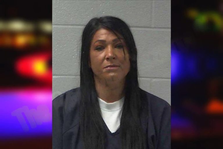 Mandi Reese mugshot – Gilmer County , Georgia Mandi Reese