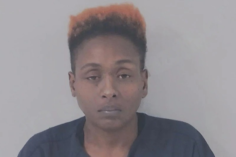 Maressa Williams Mugshots