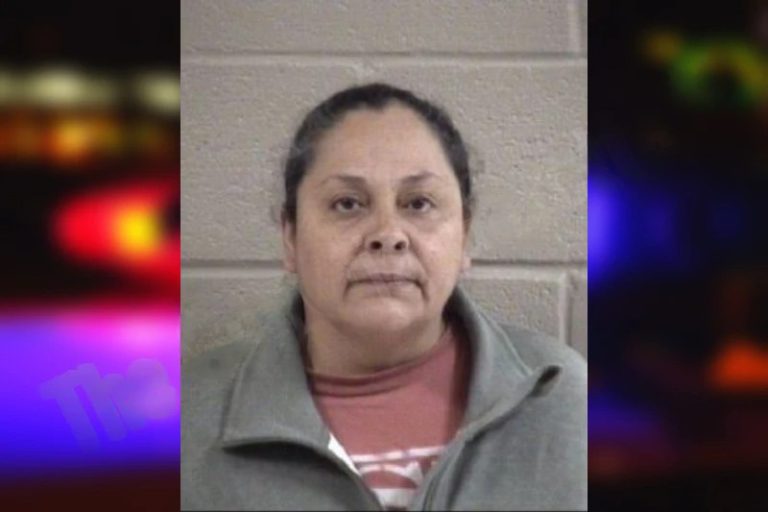 Maria Aguilar-Vazquez mugshot – Paulding County , Georgia Maria Aguilar-Vazquez