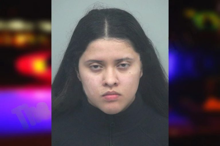 Maria Alonso Vasquez mugshot – Gwinnett County , Georgia Maria Alonso Vasquez