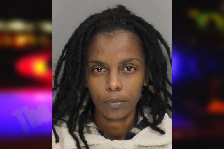 Maria Dorville mugshot – Cobb County , Georgia Maria Dorville