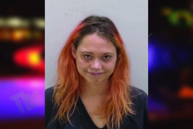 Marina Rigatti-Santiago mugshot – Bartow County , Georgia Marina Rigatti-Santiago