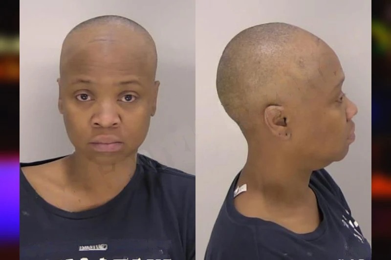 Marina Zamor Mugshots