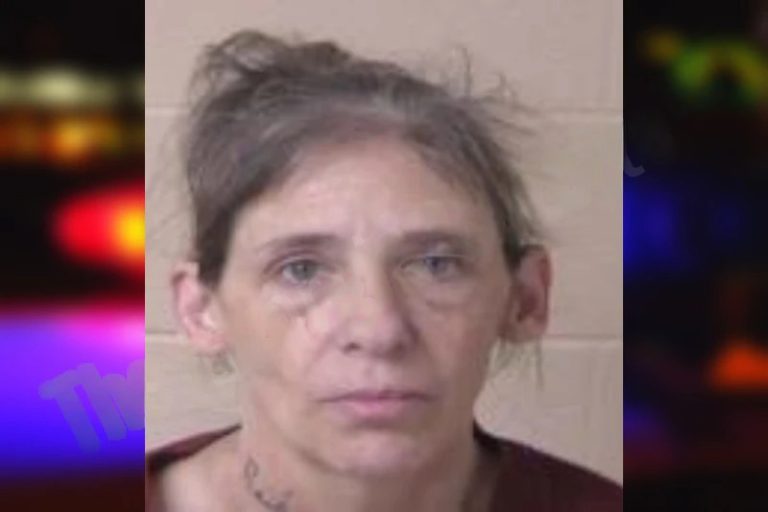 Mashelle Essex mugshot – Camden County , Georgia Mashelle Essex