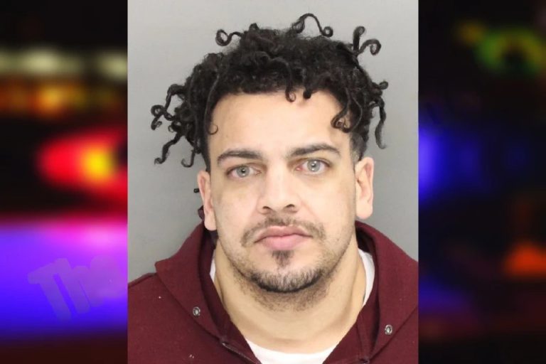 Matthew McLaughlin mugshot – Cobb County , Georgia Matthew McLaughlin