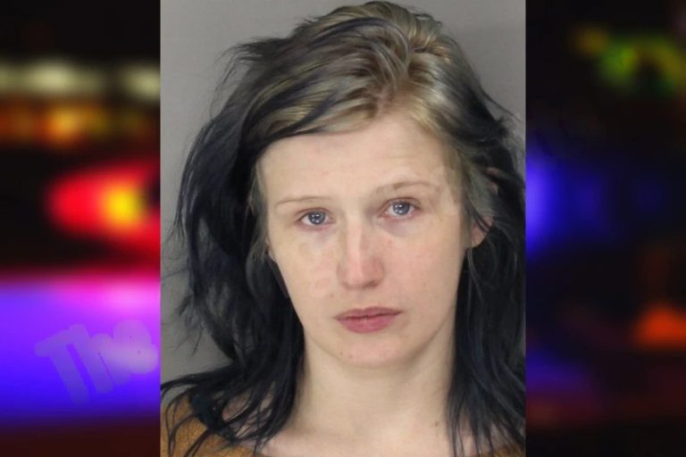 Megan Kelly mugshot – Cobb County , Georgia Megan Kelly