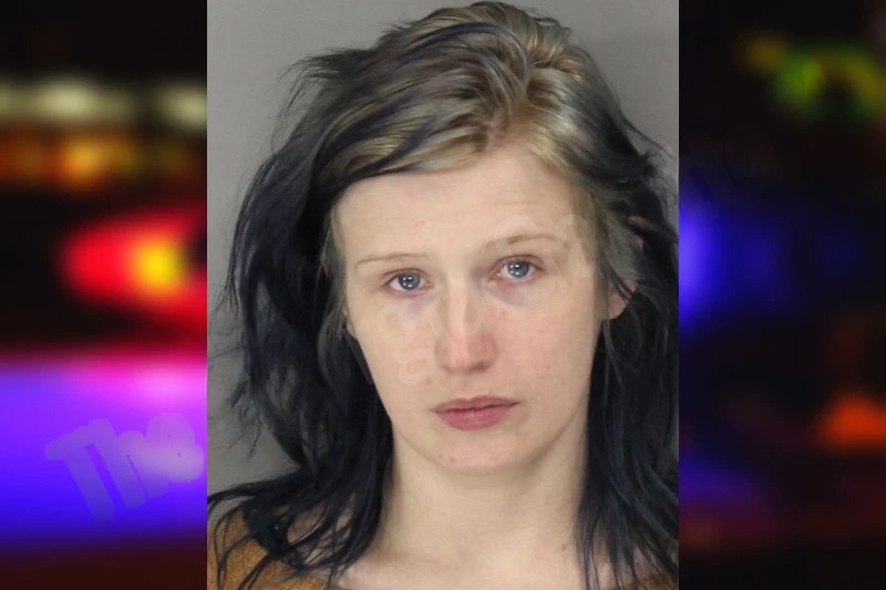 Megan Kelly Mugshots