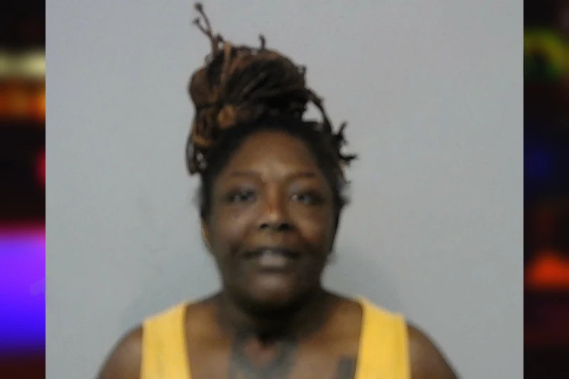 Megan Martin Mugshots