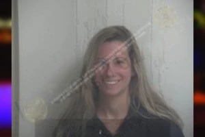 Megan Mosier Mugshots