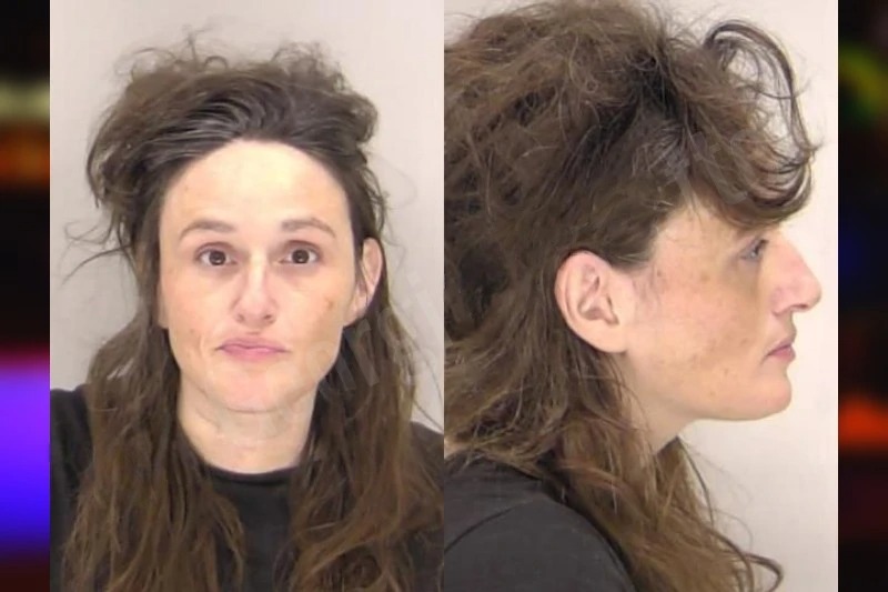 Megan Mullins mugshot