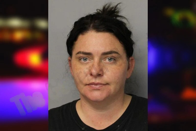 Megan Seabolt Mugshots