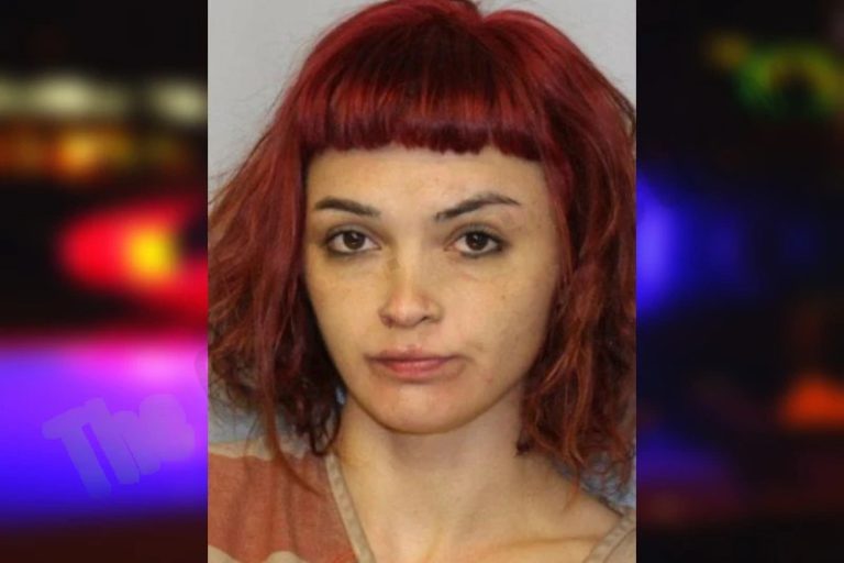 Megan Southers mugshot – Hall County , Georgia Megan Southers