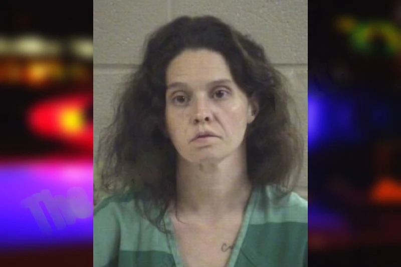 Megan Standridge mugshot – Whitfield County , Georgia Megan Standridge mugshot
