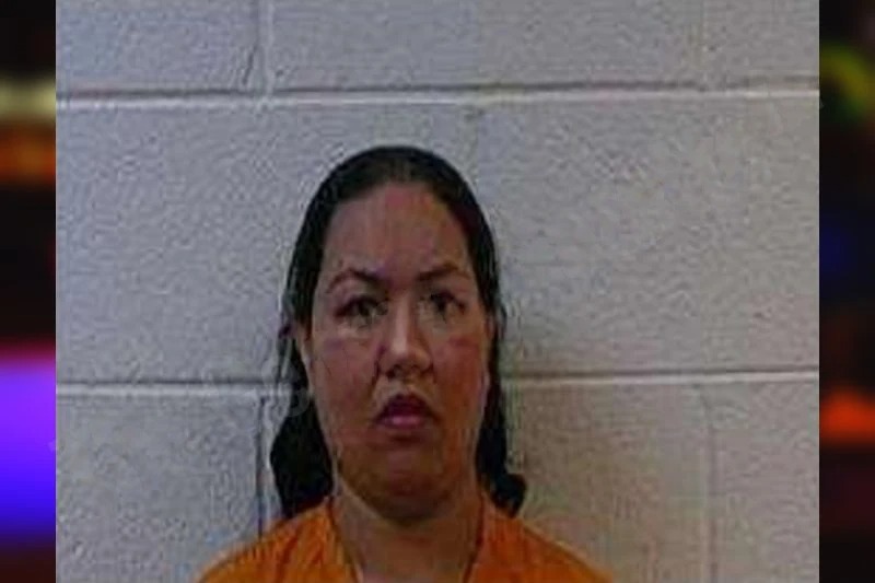 Mehrin Hussain Mugshots