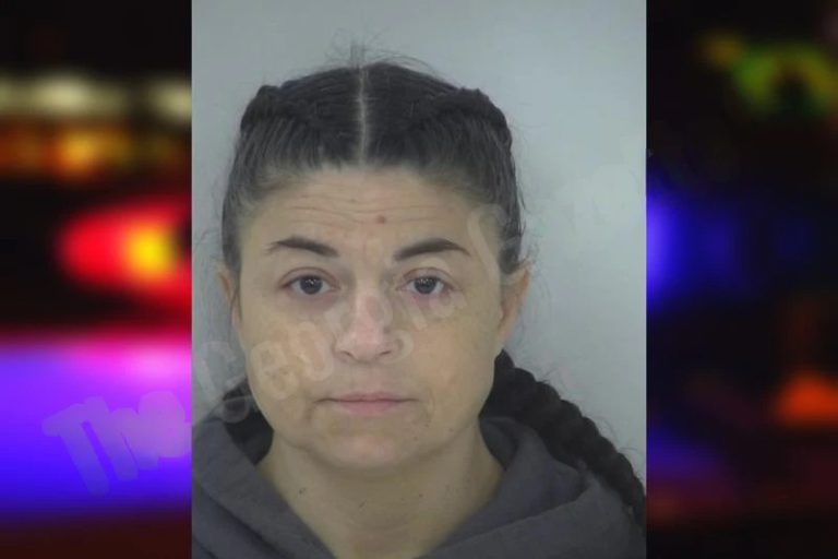 Melissa Gooch mugshot – Fayette County , Georgia Melissa Gooch