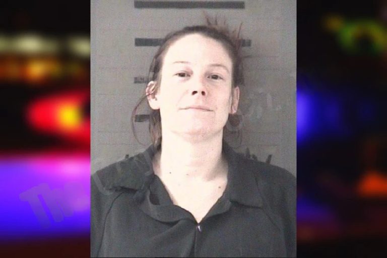 Melissa Peters mugshot – Dougherty County , Georgia Melissa Peters