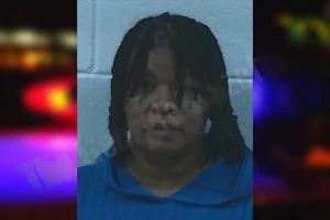 Melissa Smith Nettles Mugshots