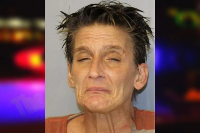 Mellissa Cooley mugshot – Hall County , Georgia Mellissa Cooley