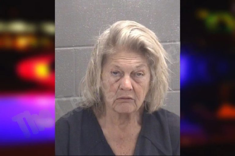 Melody Swindle mugshot – Spalding County , Georgia Melody Swindle