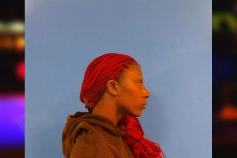 Mercedes Harrison Mugshots