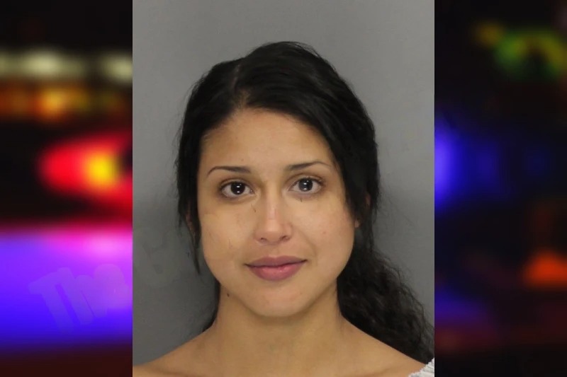 Mereyda Davila Mugshots