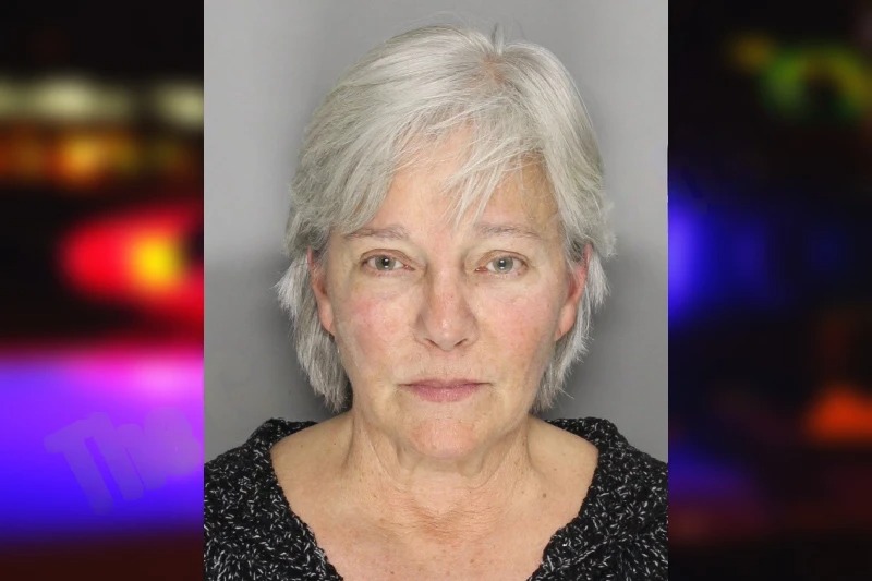 Merrisa Folmar Mugshots